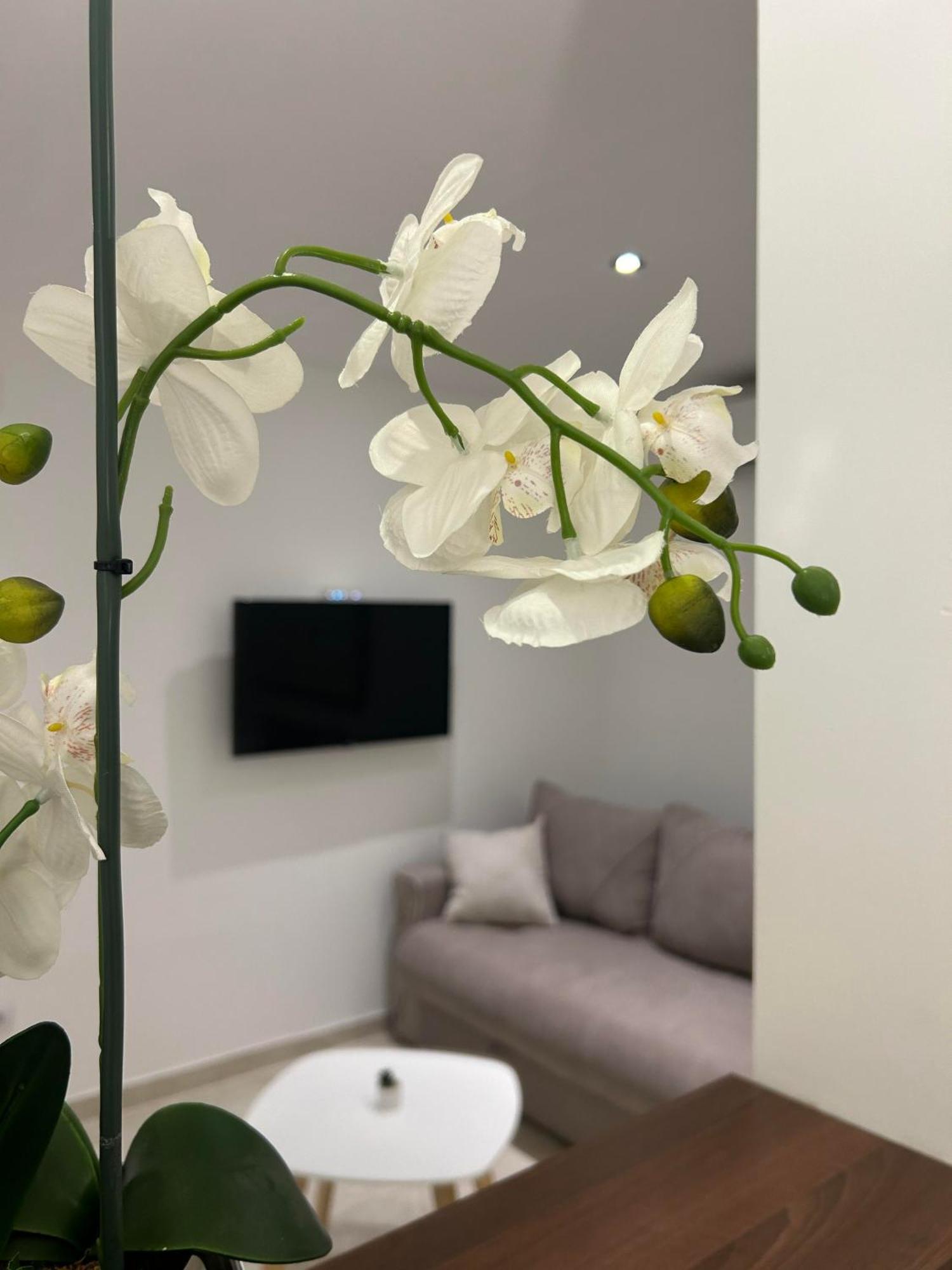 Cristal Lux Apartment