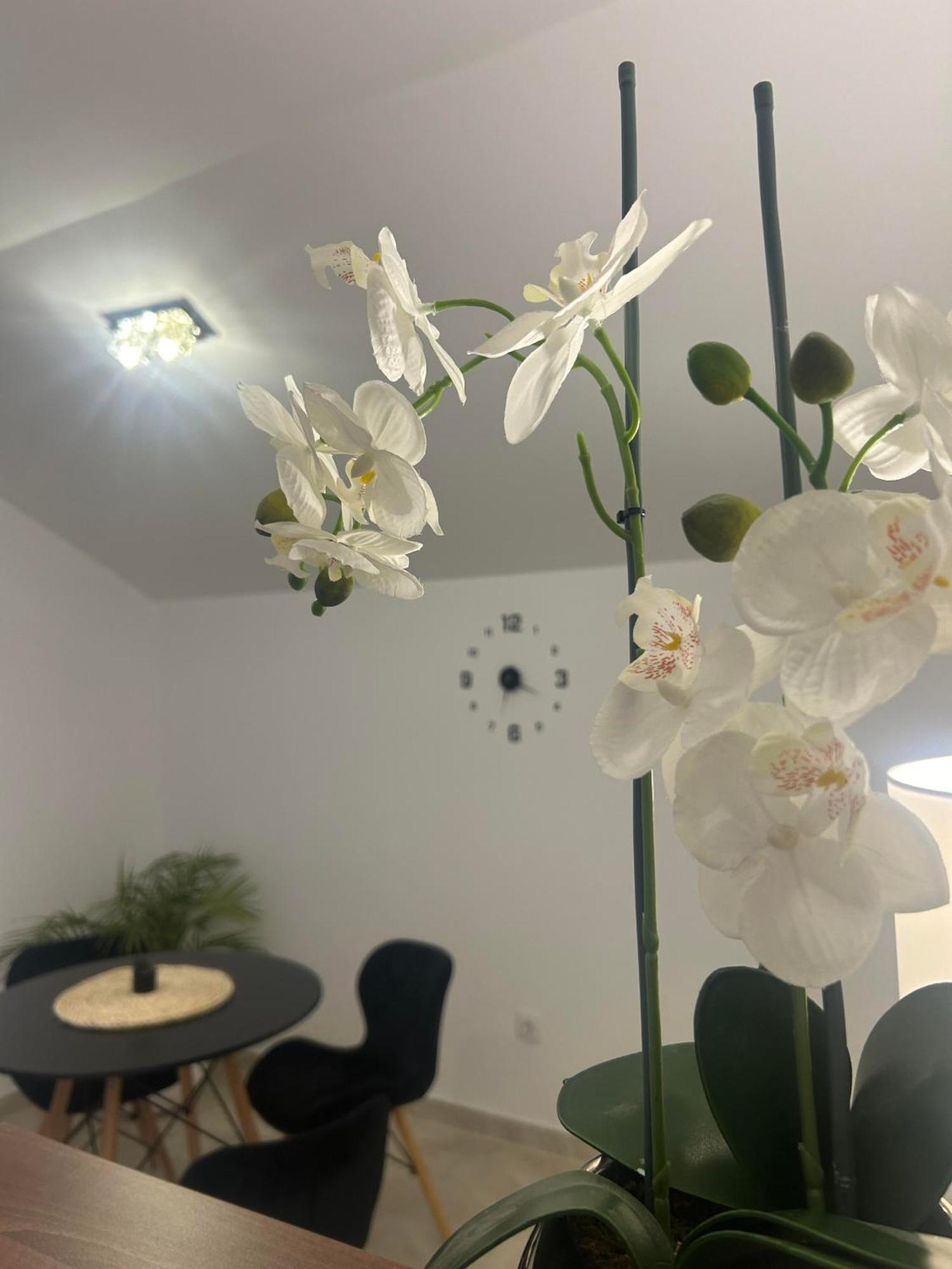 Apartment Cristal Lux *