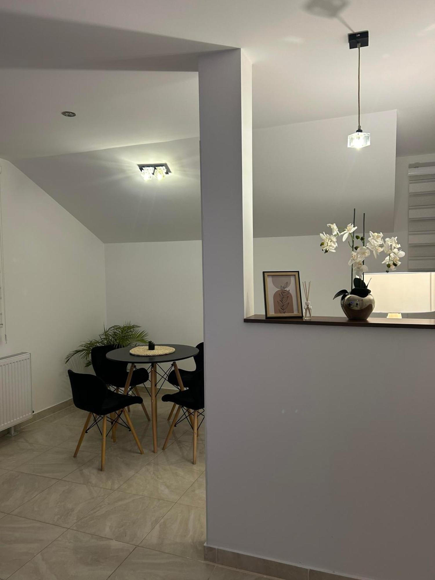 Apartment Cristal Lux Surcin