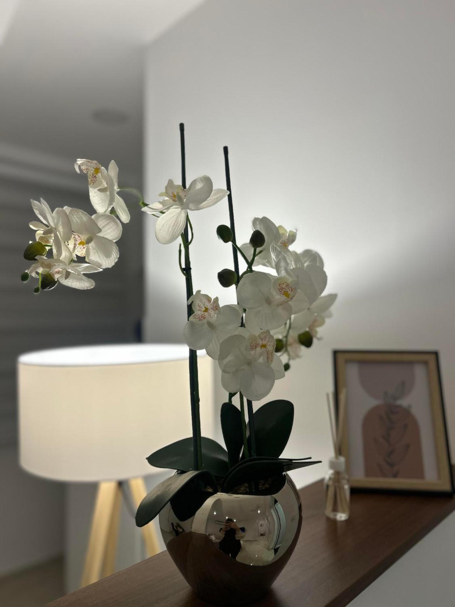 Cristal Lux * Surcin